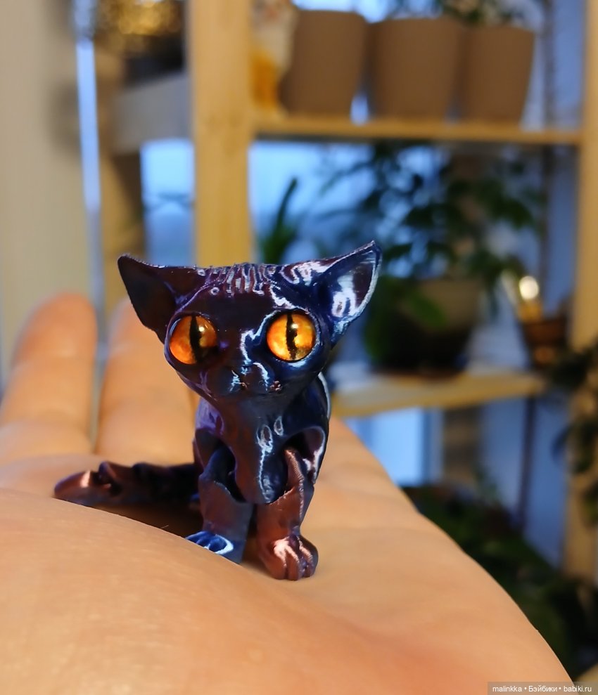 Путешествие Тони в Йошкар Олу