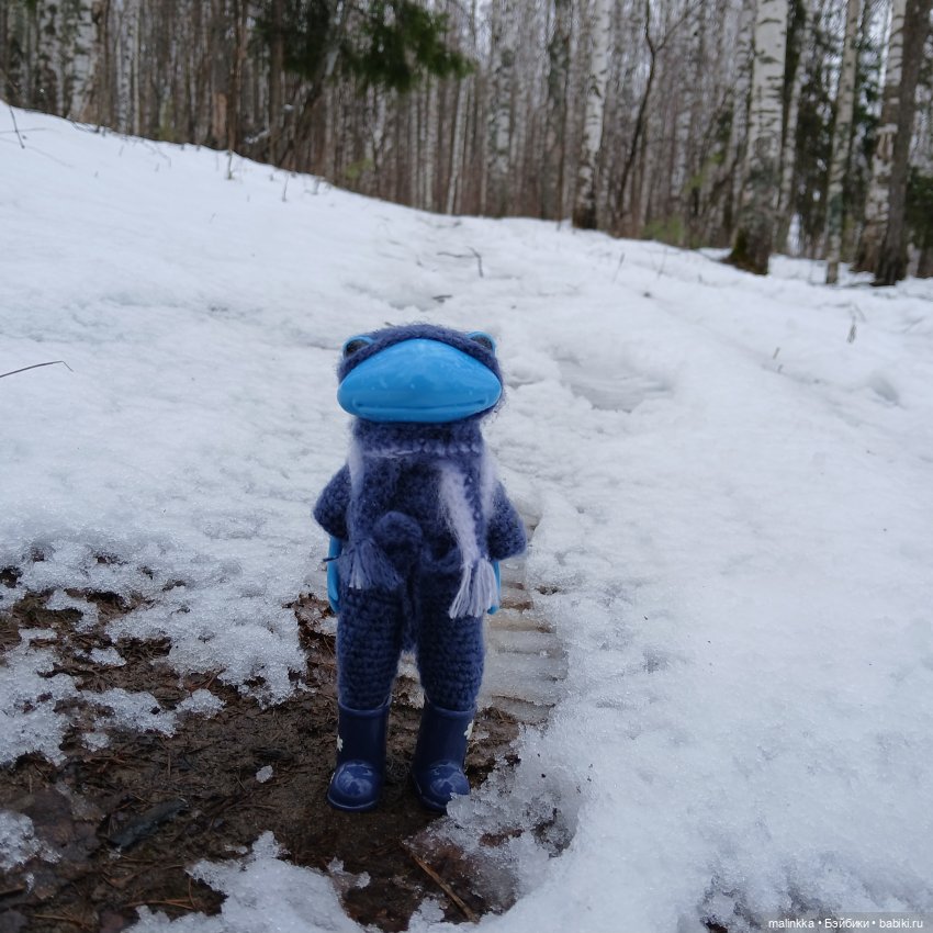 Дождливо-снежное. Тоня и Ян Wonder Frog (фото 3)