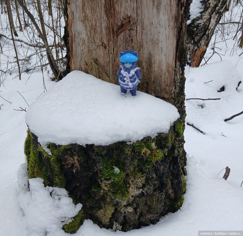 Дождливо-снежное. Тоня и Ян Wonder Frog