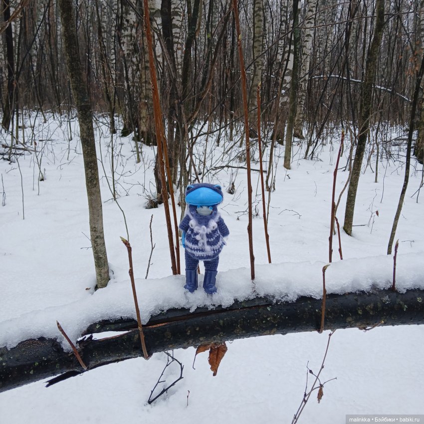 Дождливо-снежное. Тоня и Ян Wonder Frog