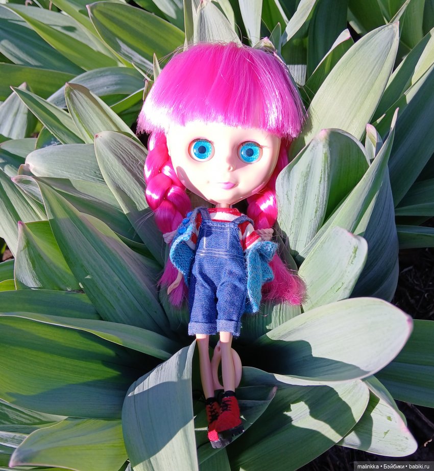 Прогулка с Блюх | Бэйбики Прогулка с Блюх — Куклы Blythe TBL (ТБЛ) и аналоги: Блюх (фото 9)
