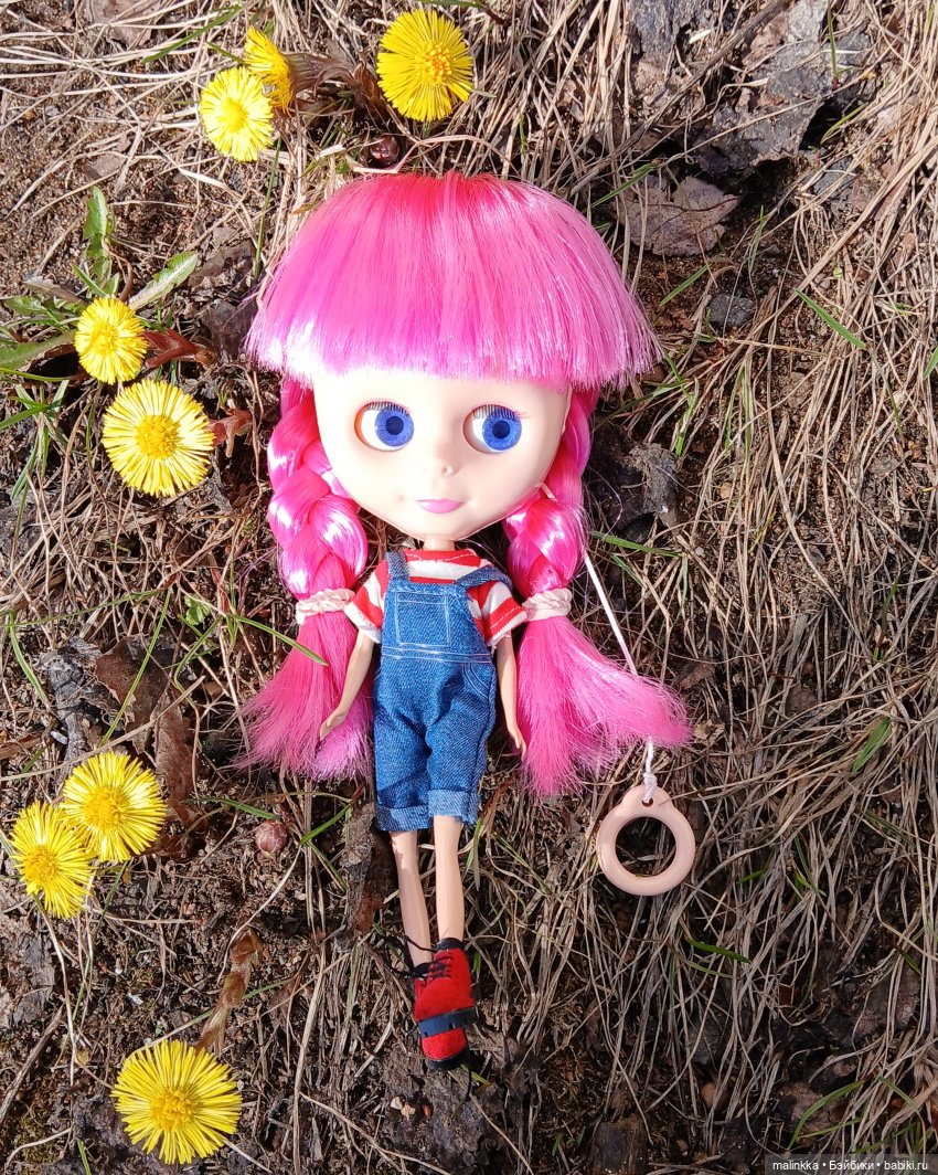 Прогулка с Блюх | Бэйбики Прогулка с Блюх — Куклы Blythe TBL (ТБЛ) и аналоги: Блюх