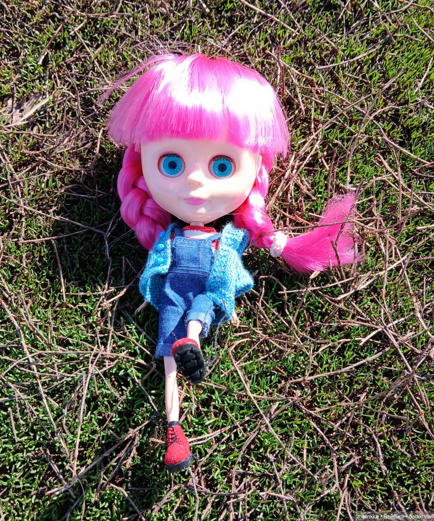 Прогулка с Блюх | Бэйбики Прогулка с Блюх — Куклы Blythe TBL (ТБЛ) и аналоги: Блюх (фото 10)