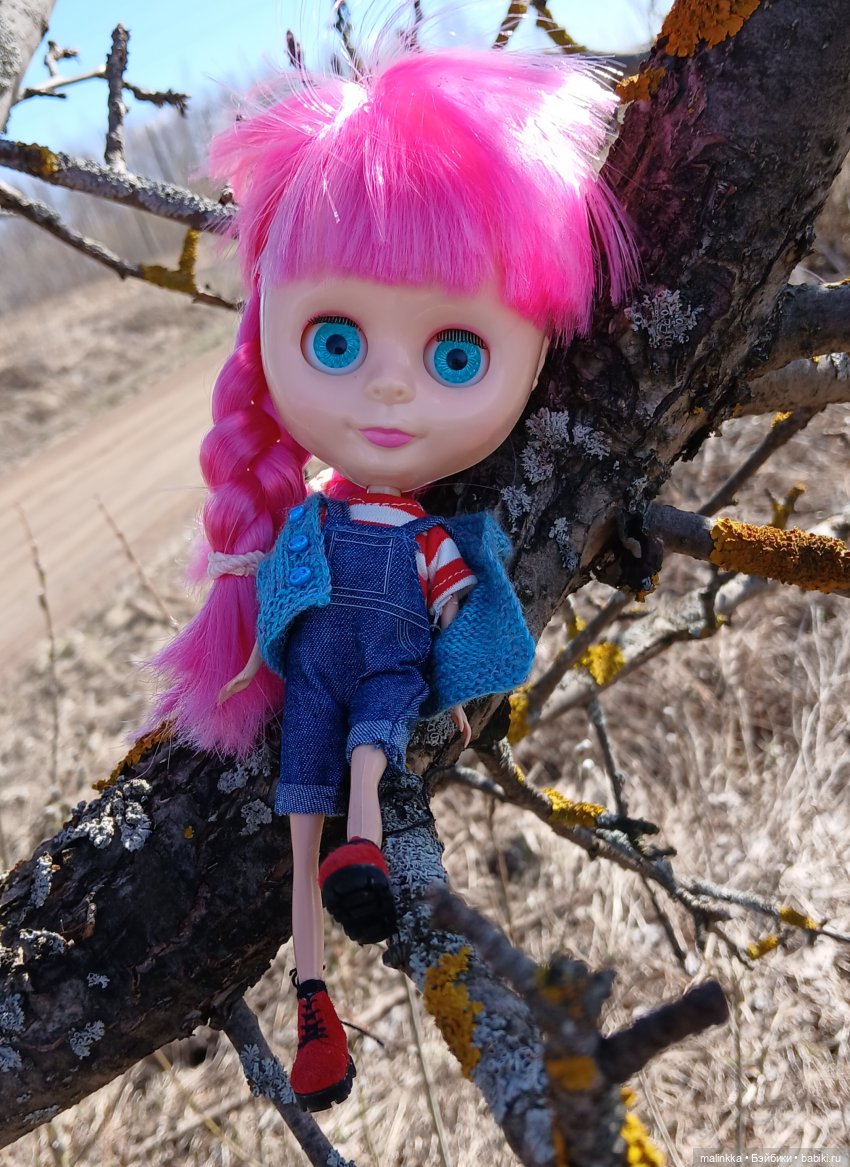 Прогулка с Блюх | Бэйбики Прогулка с Блюх — Куклы Blythe TBL (ТБЛ) и аналоги: Блюх (фото 6)