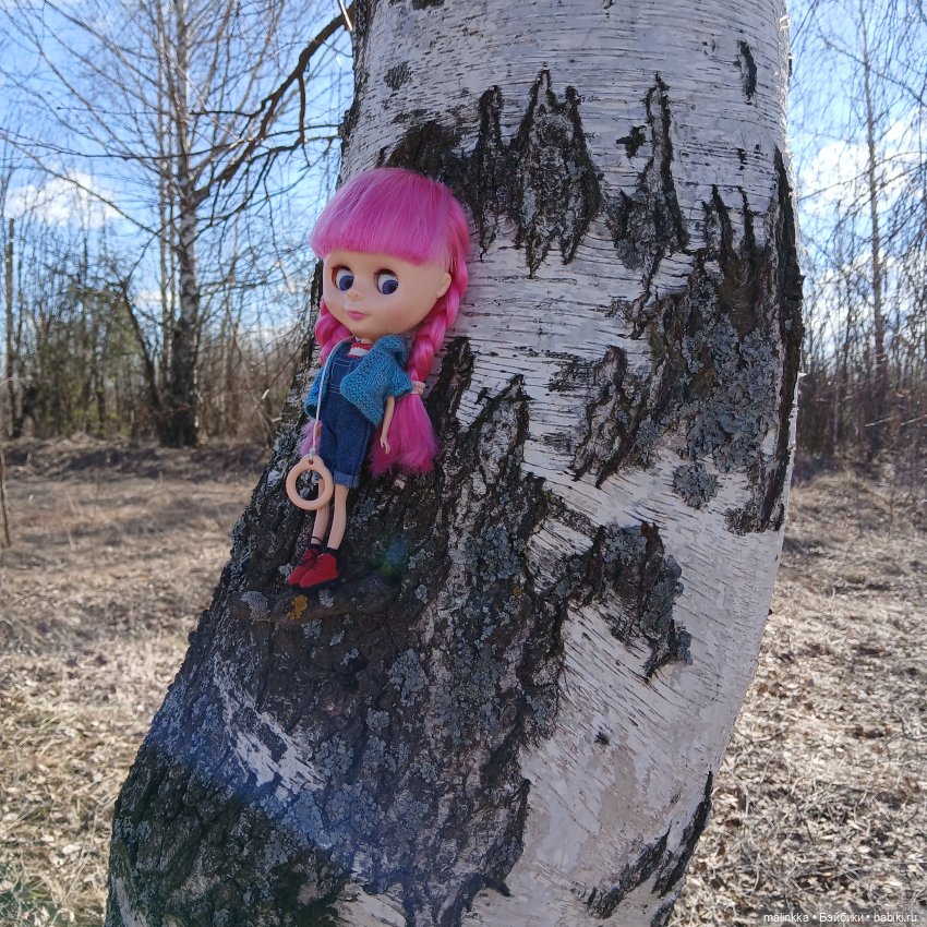 Прогулка с Блюх | Бэйбики Прогулка с Блюх — Куклы Blythe TBL (ТБЛ) и аналоги: Блюх (фото 4)