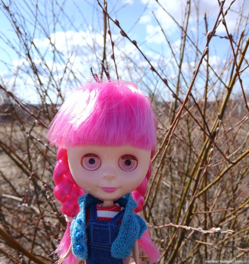 Прогулка с Блюх | Бэйбики Прогулка с Блюх — Куклы Blythe TBL (ТБЛ) и аналоги: Блюх (фото 7)