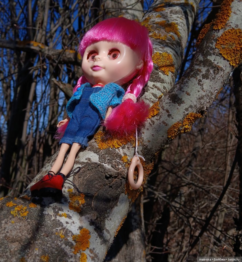 Прогулка с Блюх | Бэйбики Прогулка с Блюх — Куклы Blythe TBL (ТБЛ) и аналоги: Блюх (фото 5)