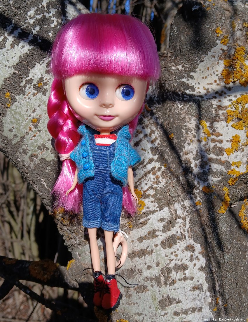Прогулка с Блюх | Бэйбики Прогулка с Блюх — Куклы Blythe TBL (ТБЛ) и аналоги: Блюх (фото 3)