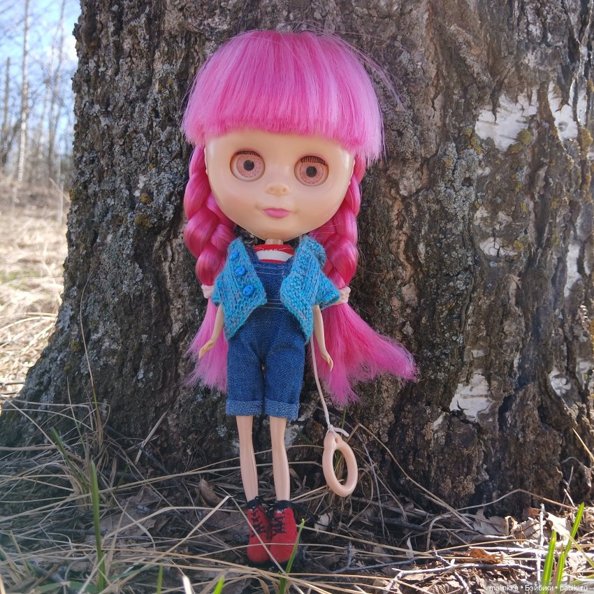 Прогулка с Блюх | Бэйбики Прогулка с Блюх — Куклы Blythe TBL (ТБЛ) и аналоги: Блюх (фото 8)