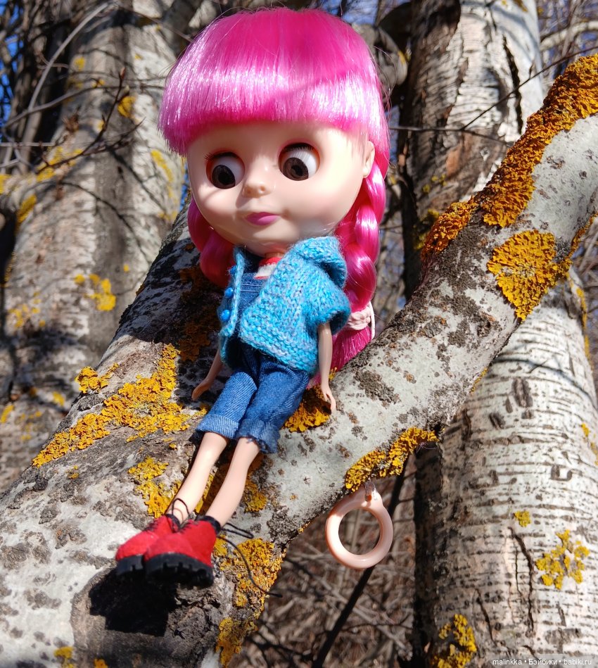 Прогулка с Блюх | Бэйбики Прогулка с Блюх — Куклы Blythe TBL (ТБЛ) и аналоги: Блюх (фото 2)
