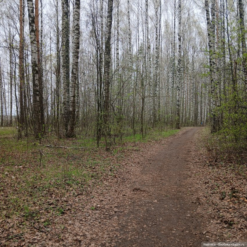 Оливка и весна. EVE LYNNA