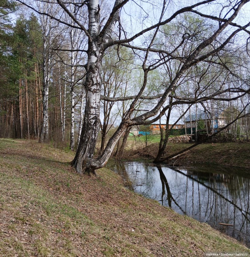 Оливка и весна. EVE LYNNA