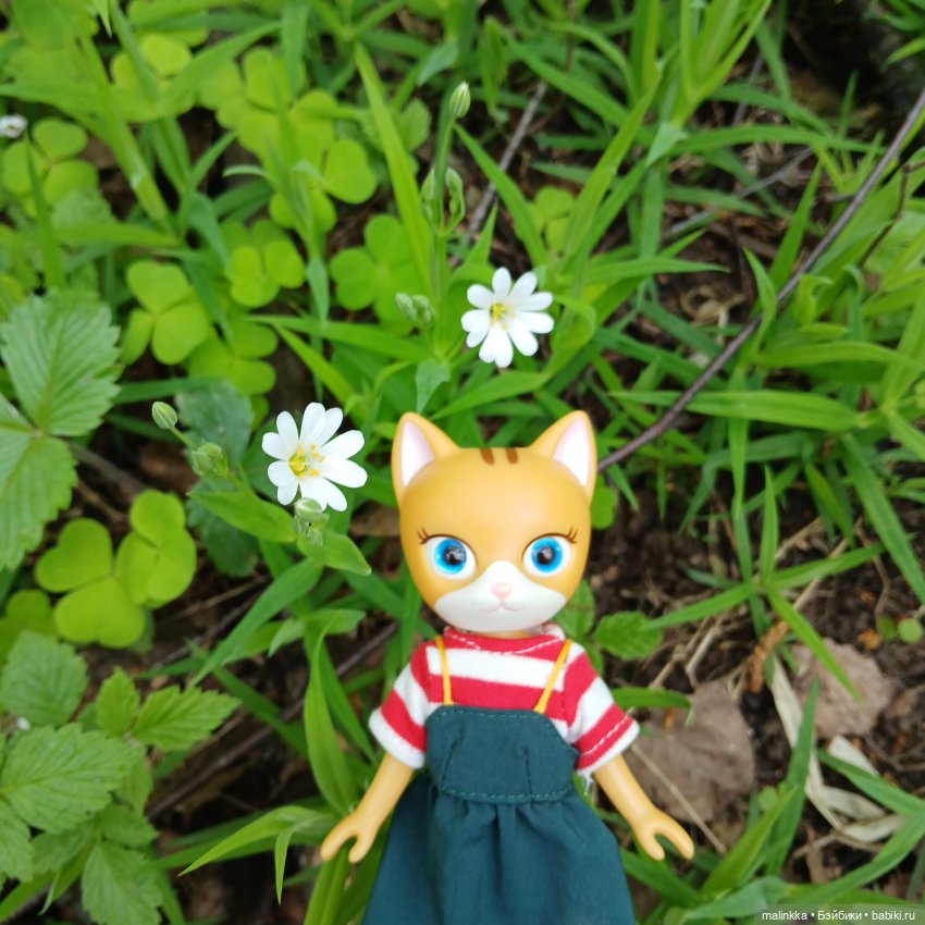 Весна Кэти. MEOW | Бэйбики Весна Кэти. MEOW — Куклы с Алиэкспресс (Aliexpress): Китайские шарнирные