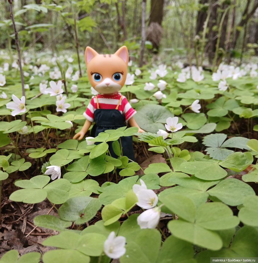 Весна Кэти. MEOW | Бэйбики Весна Кэти. MEOW — Куклы с Алиэкспресс (Aliexpress): Китайские шарнирные