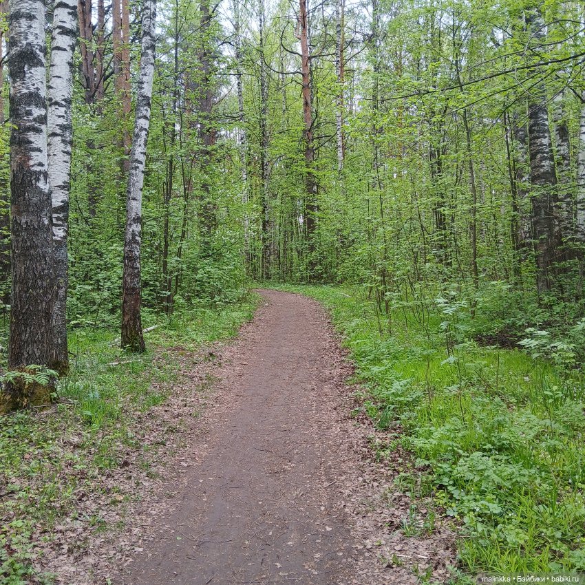 Весна Кэти. MEOW | Бэйбики Весна Кэти. MEOW — Куклы с Алиэкспресс (Aliexpress): Китайские шарнирные