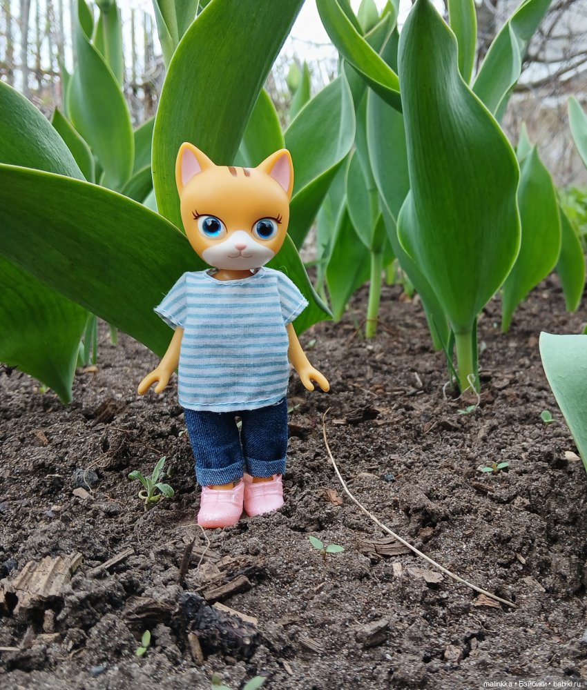 Весна Кэти. MEOW | Бэйбики Весна Кэти. MEOW — Куклы с Алиэкспресс (Aliexpress): Китайские шарнирные