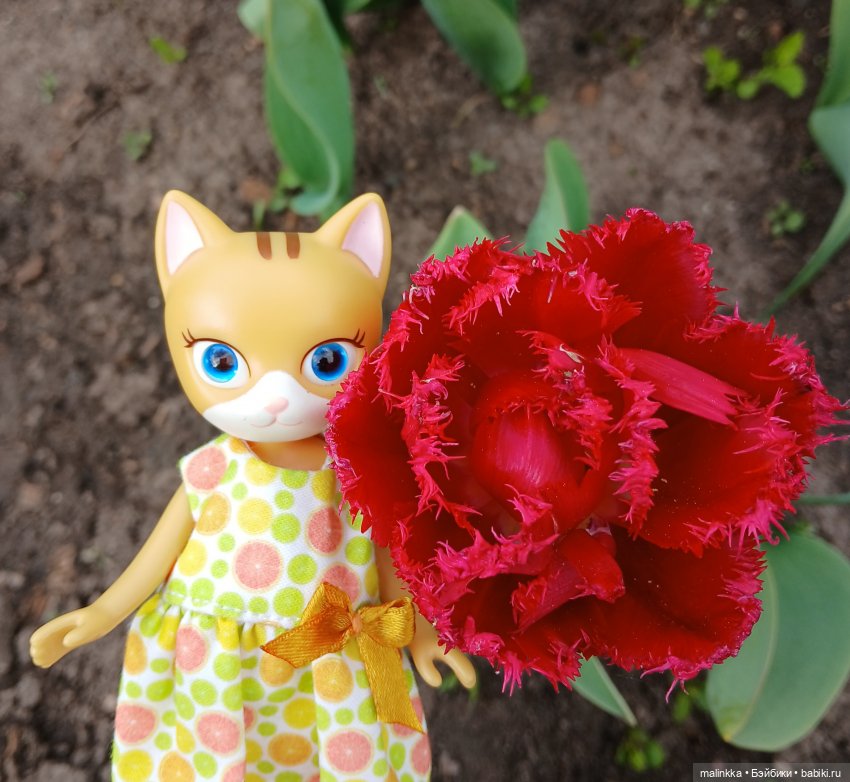 Весна Кэти. MEOW | Бэйбики Весна Кэти. MEOW — Куклы с Алиэкспресс (Aliexpress): Китайские шарнирные (фото 4)