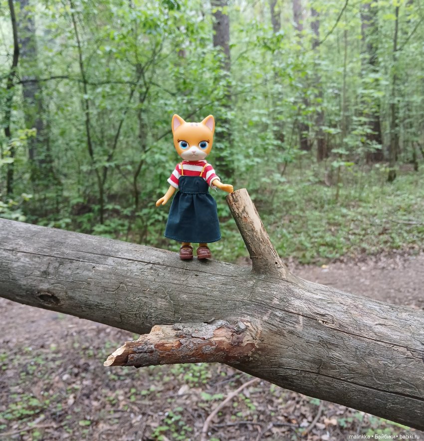 Весна Кэти. MEOW | Бэйбики Весна Кэти. MEOW — Куклы с Алиэкспресс (Aliexpress): Китайские шарнирные