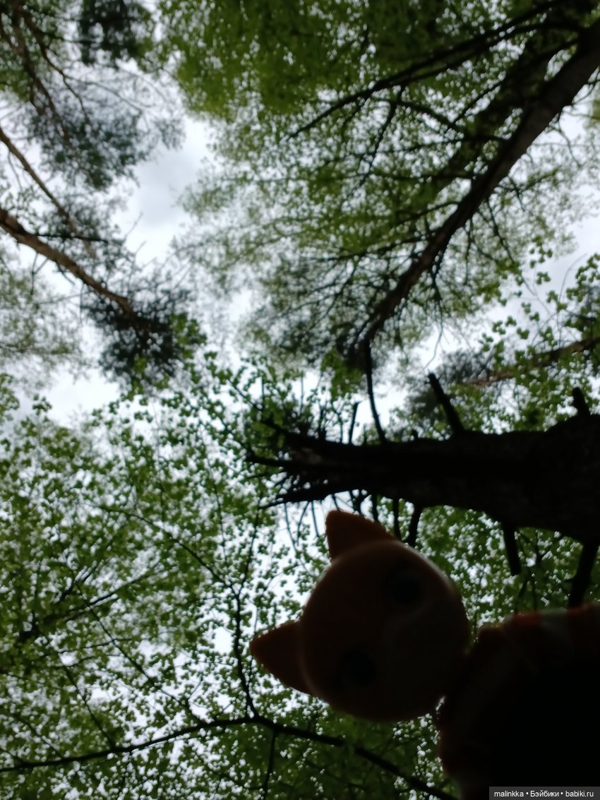 Весна Кэти. MEOW | Бэйбики Весна Кэти. MEOW — Куклы с Алиэкспресс (Aliexpress): Китайские шарнирные