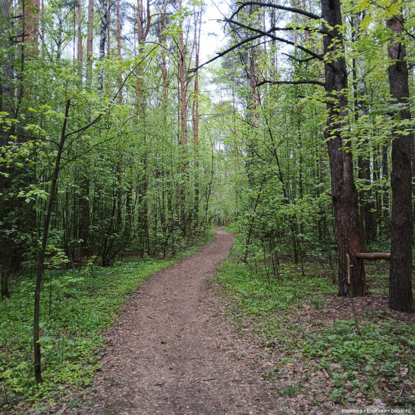 Весна Кэти. MEOW | Бэйбики Весна Кэти. MEOW — Куклы с Алиэкспресс (Aliexpress): Китайские шарнирные