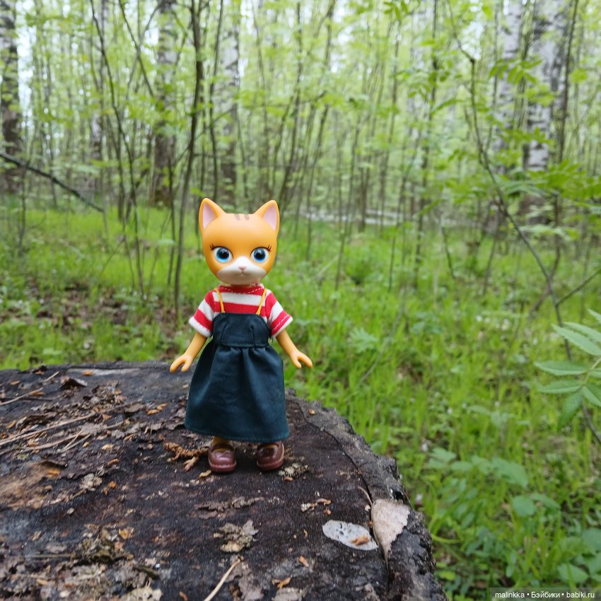 Весна Кэти. MEOW | Бэйбики Весна Кэти. MEOW — Куклы с Алиэкспресс (Aliexpress): Китайские шарнирные