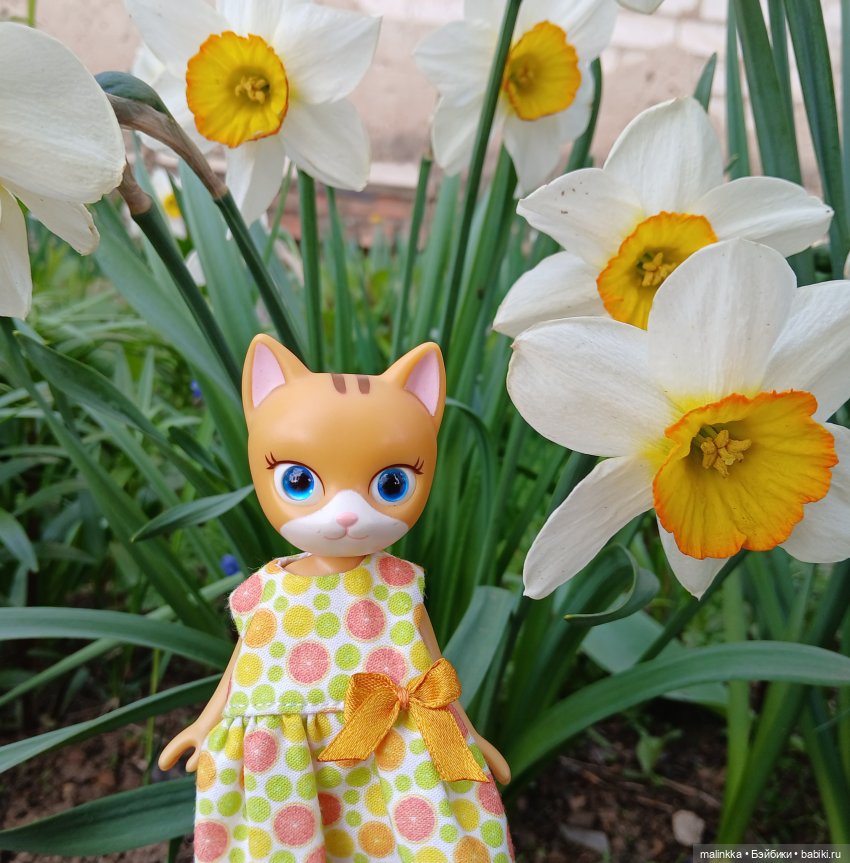 Весна Кэти. MEOW | Бэйбики Весна Кэти. MEOW — Куклы с Алиэкспресс (Aliexpress): Китайские шарнирные