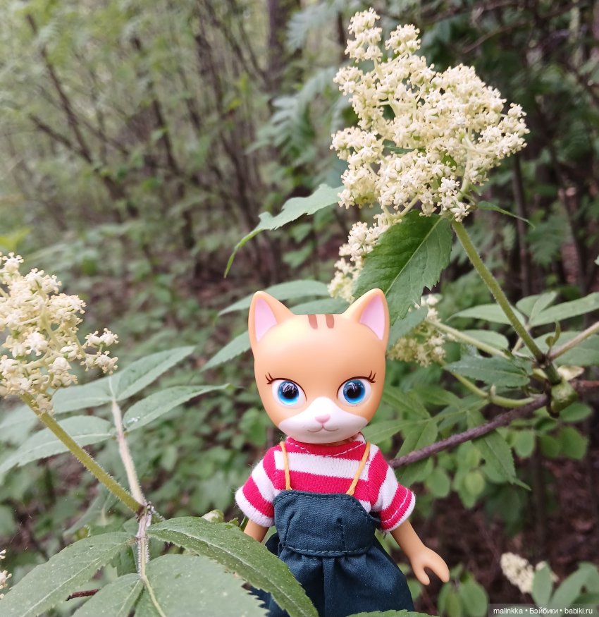 Весна Кэти. MEOW | Бэйбики Весна Кэти. MEOW — Куклы с Алиэкспресс (Aliexpress): Китайские шарнирные