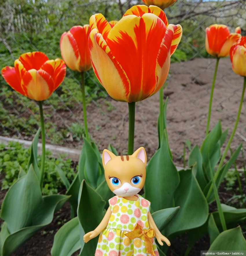 Весна Кэти. MEOW | Бэйбики Весна Кэти. MEOW — Куклы с Алиэкспресс (Aliexpress): Китайские шарнирные (фото 5)