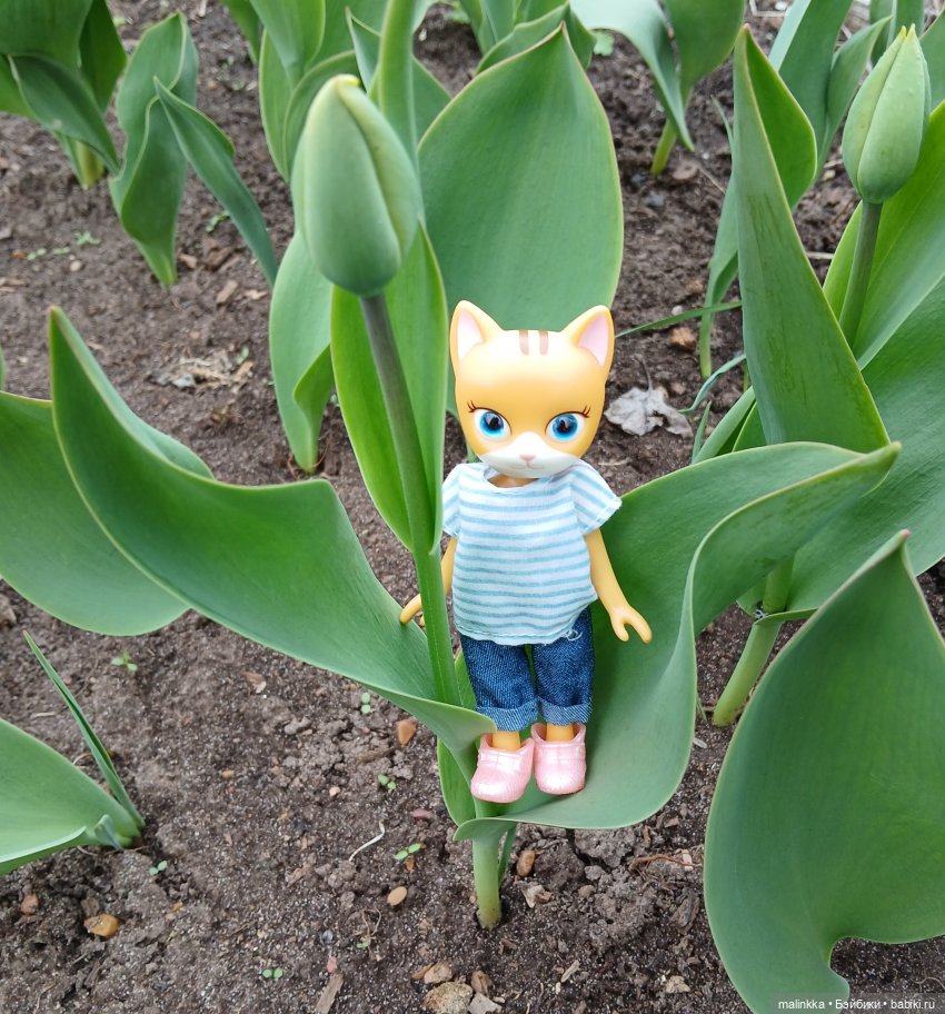 Весна Кэти. MEOW | Бэйбики Весна Кэти. MEOW — Куклы с Алиэкспресс (Aliexpress): Китайские шарнирные (фото 2)