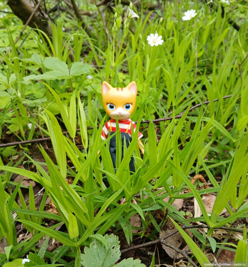 Весна Кэти. MEOW | Бэйбики Весна Кэти. MEOW — Куклы с Алиэкспресс (Aliexpress): Китайские шарнирные