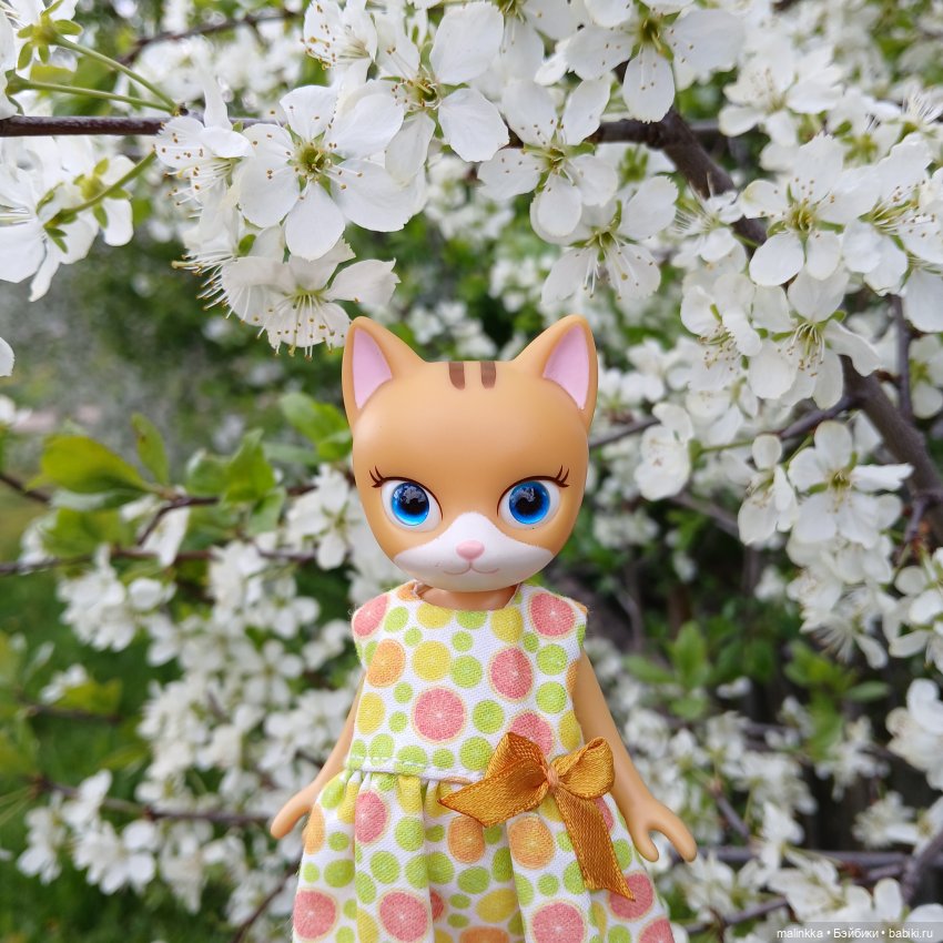 Весна Кэти. MEOW | Бэйбики Весна Кэти. MEOW — Куклы с Алиэкспресс (Aliexpress): Китайские шарнирные (фото 9)