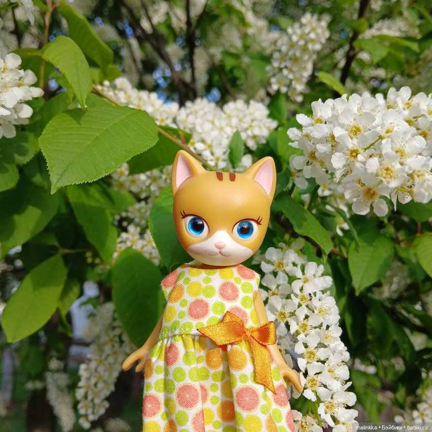 Весна Кэти. MEOW | Бэйбики Весна Кэти. MEOW — Куклы с Алиэкспресс (Aliexpress): Китайские шарнирные