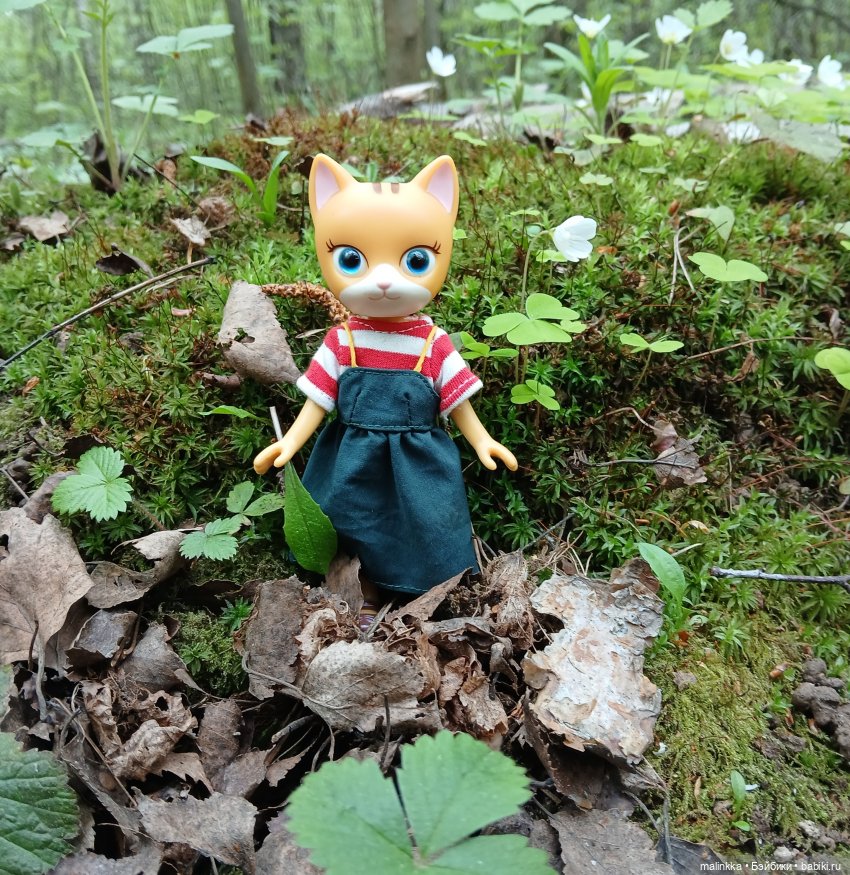 Весна Кэти. MEOW | Бэйбики Весна Кэти. MEOW — Куклы с Алиэкспресс (Aliexpress): Китайские шарнирные