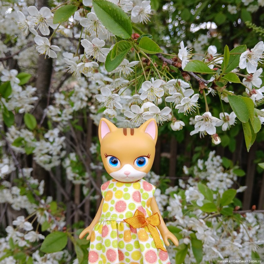 Весна Кэти. MEOW | Бэйбики Весна Кэти. MEOW — Куклы с Алиэкспресс (Aliexpress): Китайские шарнирные (фото 8)