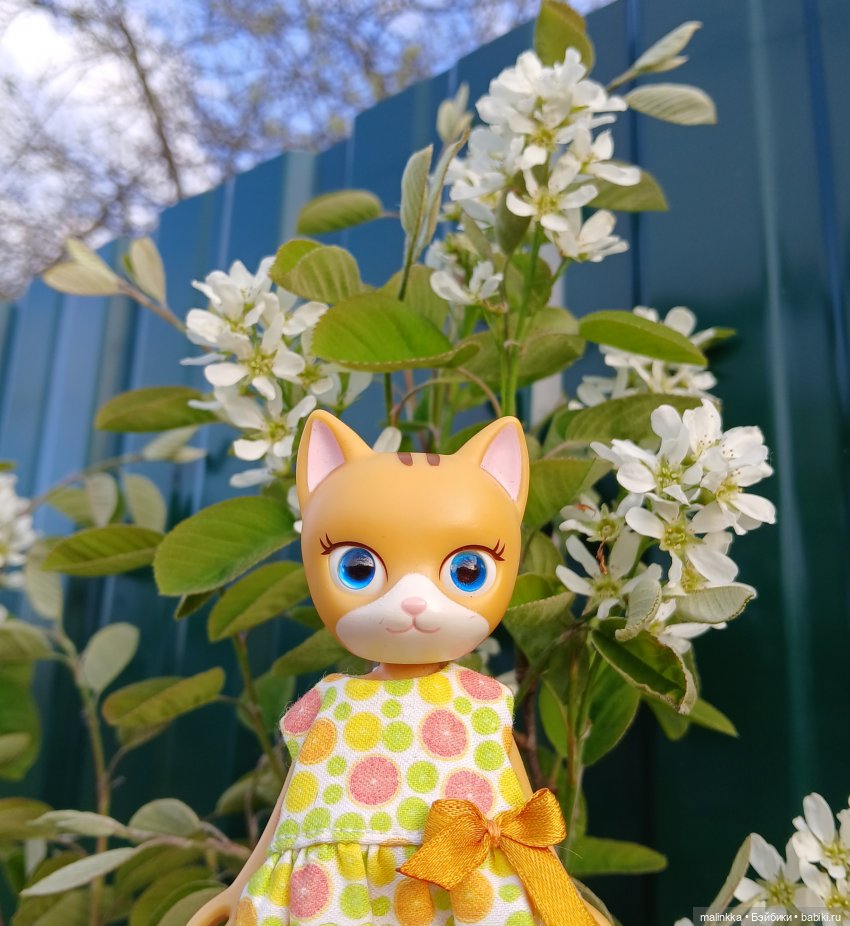 Весна Кэти. MEOW | Бэйбики Весна Кэти. MEOW — Куклы с Алиэкспресс (Aliexpress): Китайские шарнирные (фото 10)