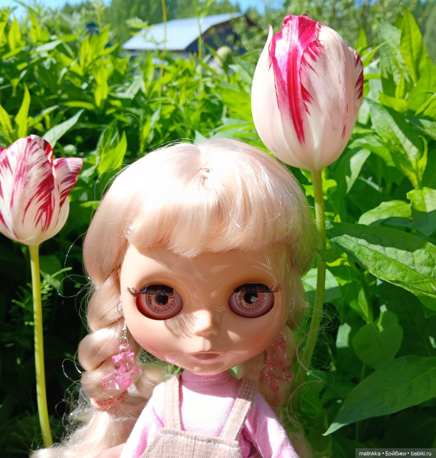 Сима и цветущий май | Бэйбики Сима и цветущий май — Куклы Blythe TBL (ТБЛ) и аналоги: Блюх