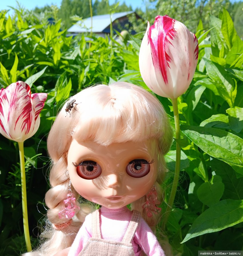Сима и цветущий май | Бэйбики Сима и цветущий май — Куклы Blythe TBL (ТБЛ) и аналоги: Блюх