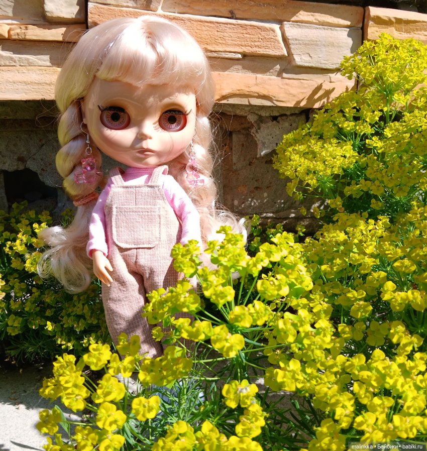 Сима и цветущий май | Бэйбики Сима и цветущий май — Куклы Blythe TBL (ТБЛ) и аналоги: Блюх