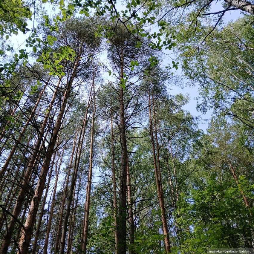 Корнелий Кузьмич — Авторские мишки Тедди и друзья: фото