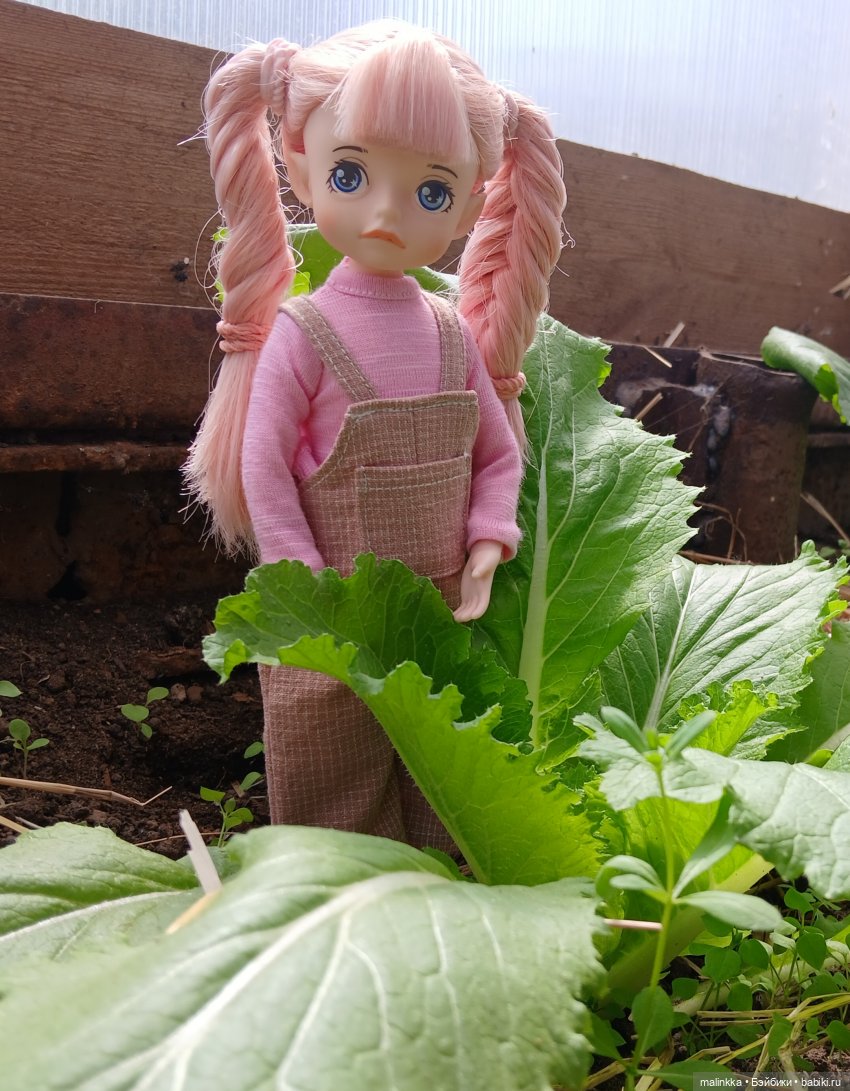 А у вас на огородце тоже живут эльфы