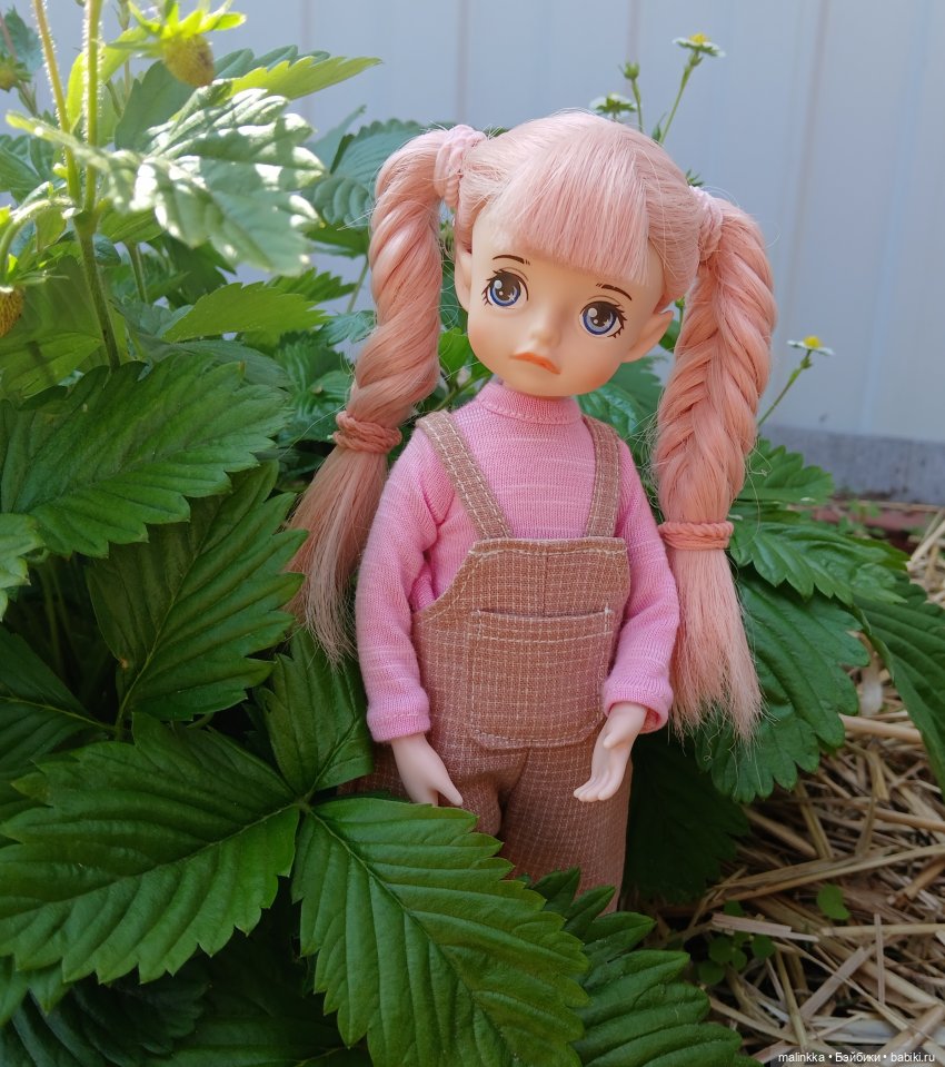 А у вас на огородце тоже живут эльфы (фото 3)