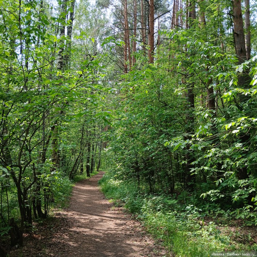 Корнелий Кузьмич — Авторские мишки Тедди и друзья: фото