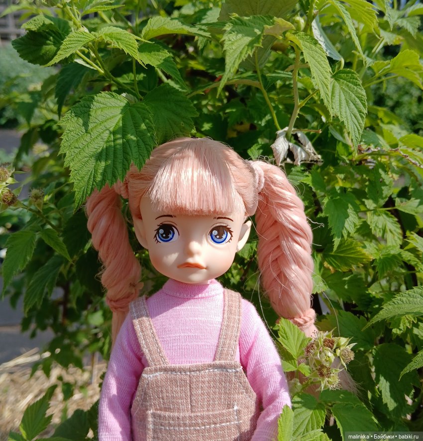 А у вас на огородце тоже живут эльфы (фото 4)