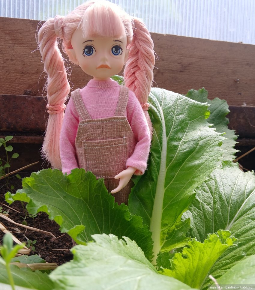 А у вас на огородце тоже живут эльфы