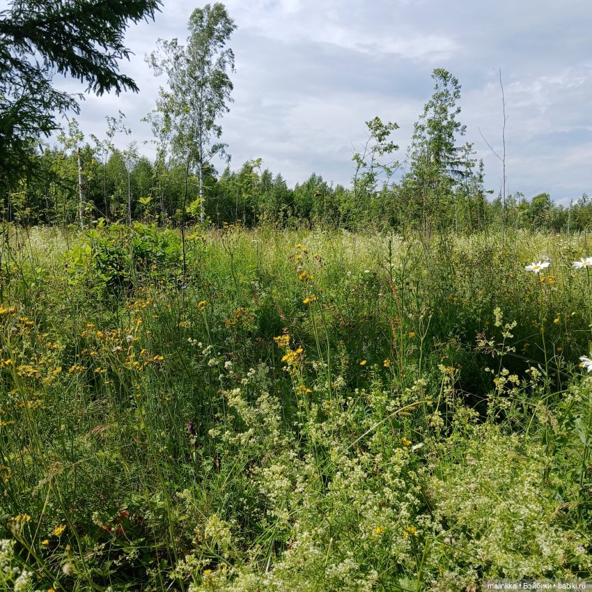 Как мы по ягоды ходили — Коллекционные фигурки (разное): животные