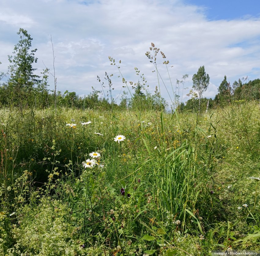 Как мы по ягоды ходили — Коллекционные фигурки (разное): животные