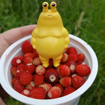 Как мы по ягоды ходили