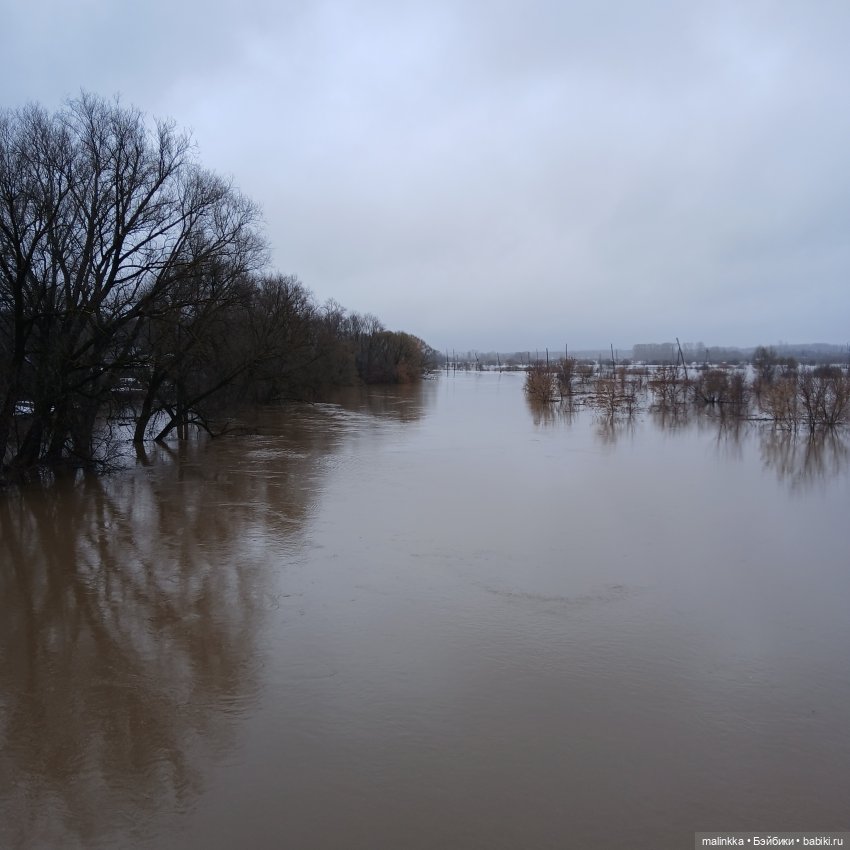 Мои карманные спутники | Бэйбики Мои карманные спутники — Игровые куклы разных производителей (Разное): редкие бренды