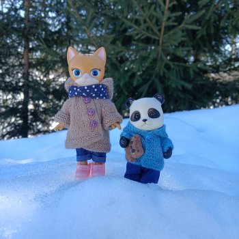 Мои карманные спутники