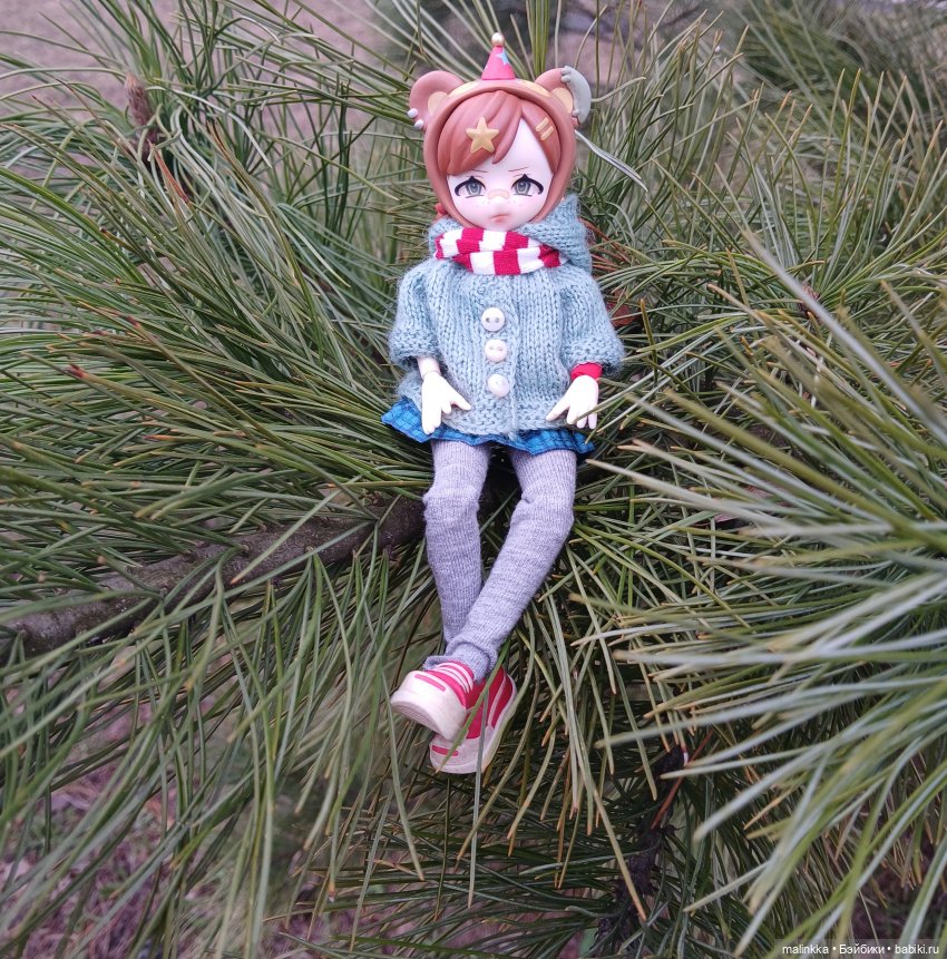 Как Оливка сегодня была моей спутницей (фото 7)